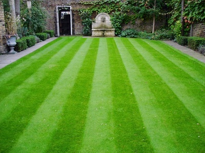 lawn-optix